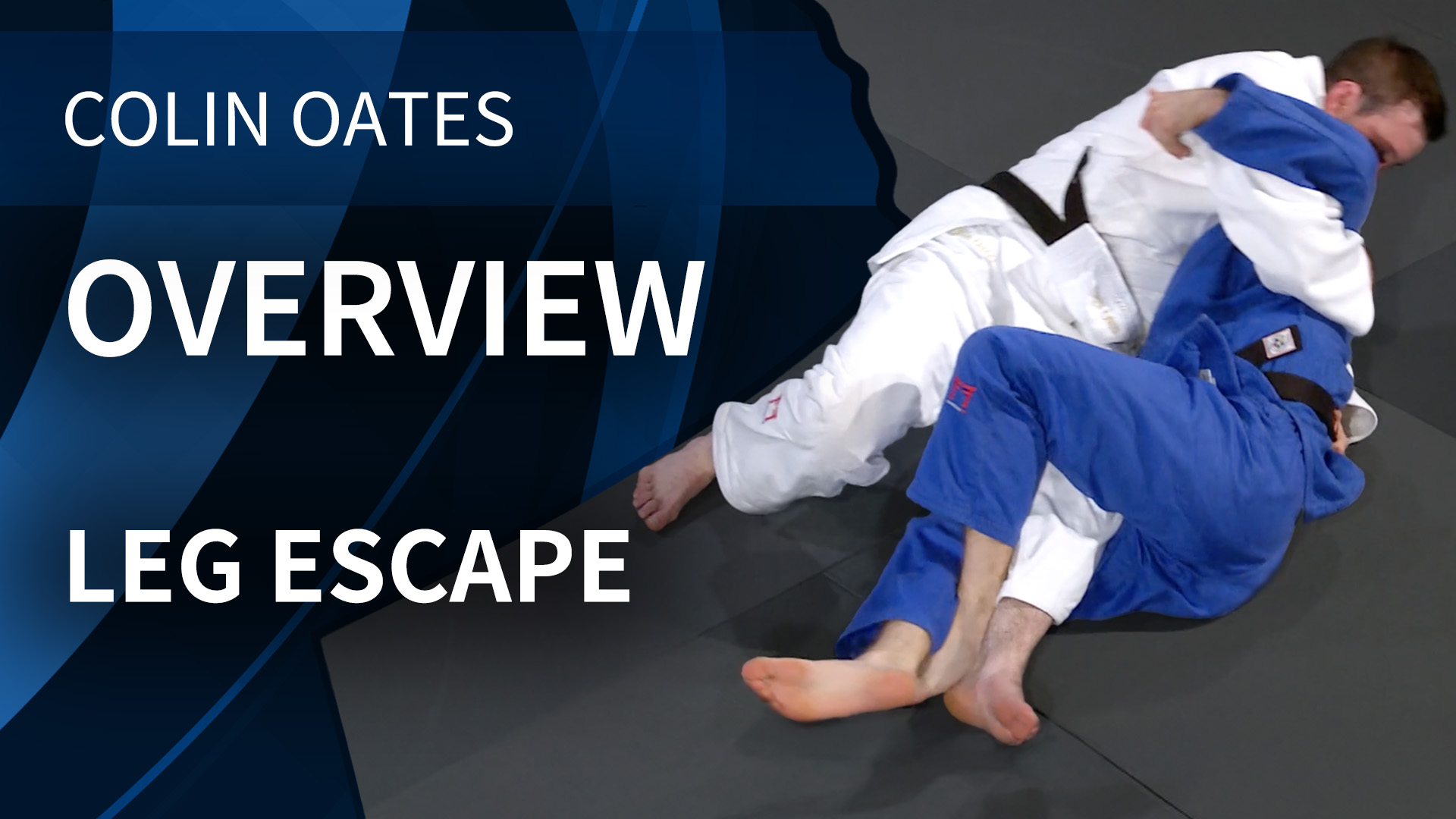 Overview | Leg Escape | Colin Oates