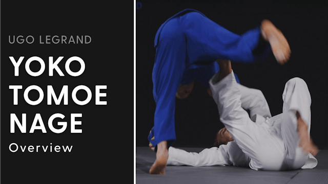 Overview | Yoko Tomoe Nage | Ugo Legrand