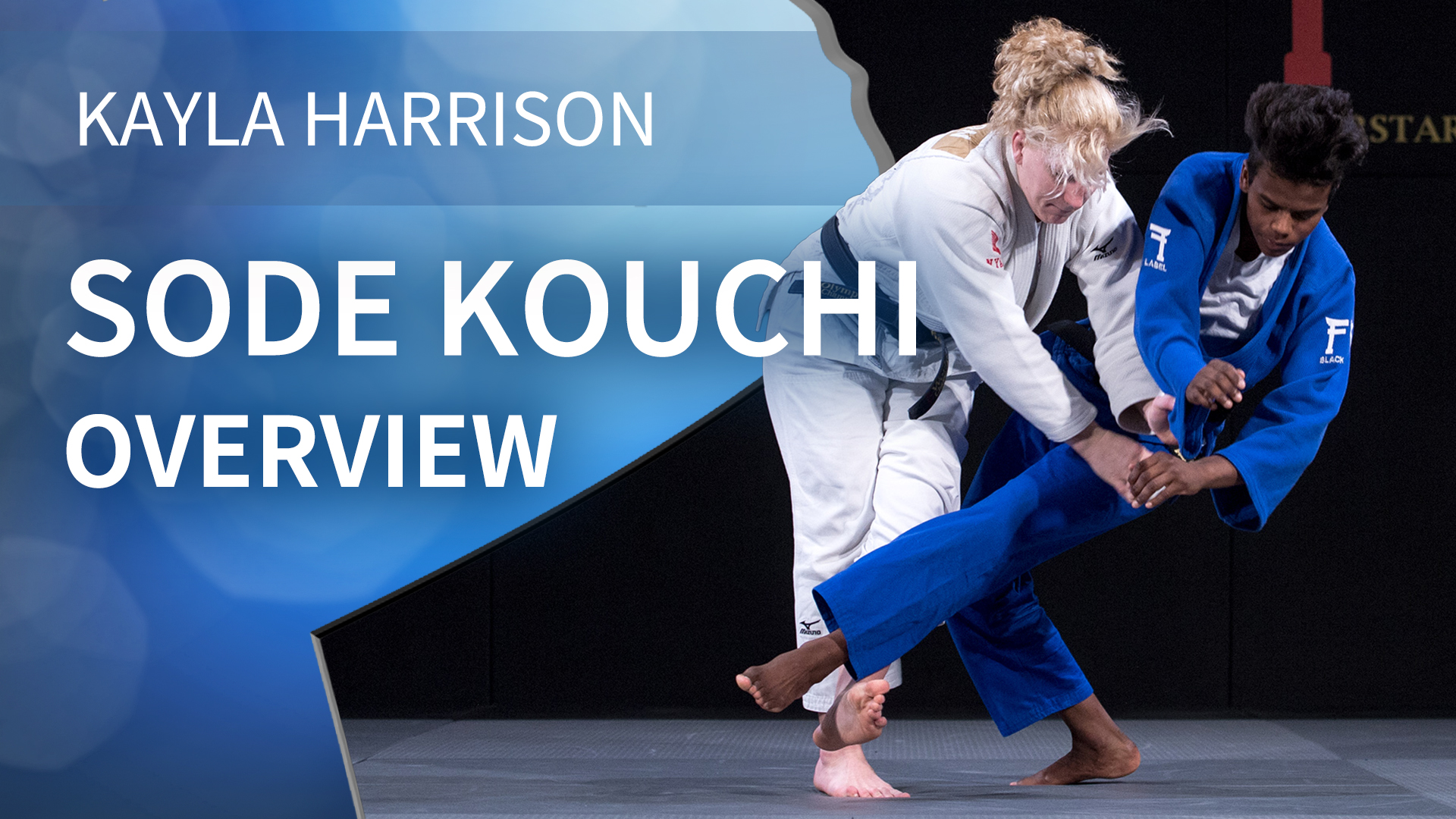 Overview | Sode Kouchi | Kayla Harrison