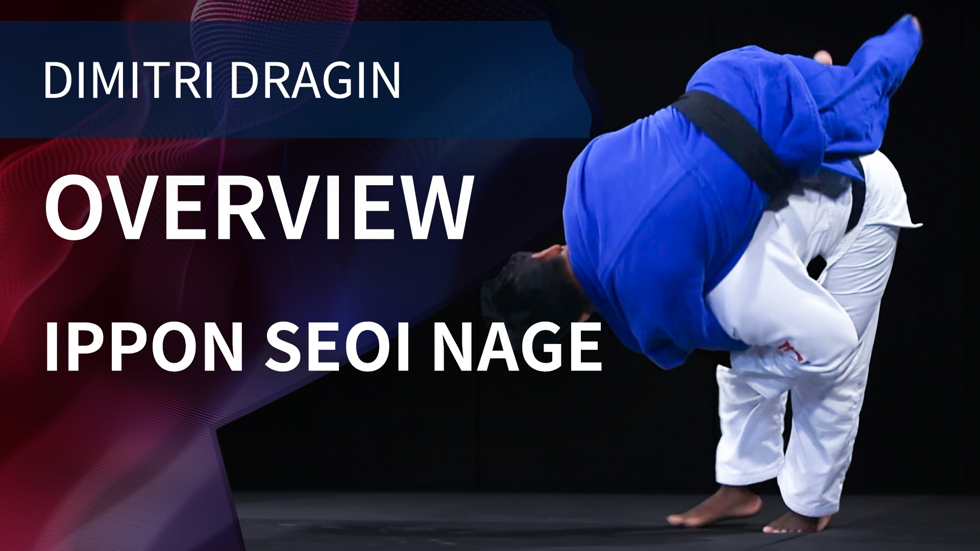 Overview | Ippon Seoi Nage | Dimitri Dragin