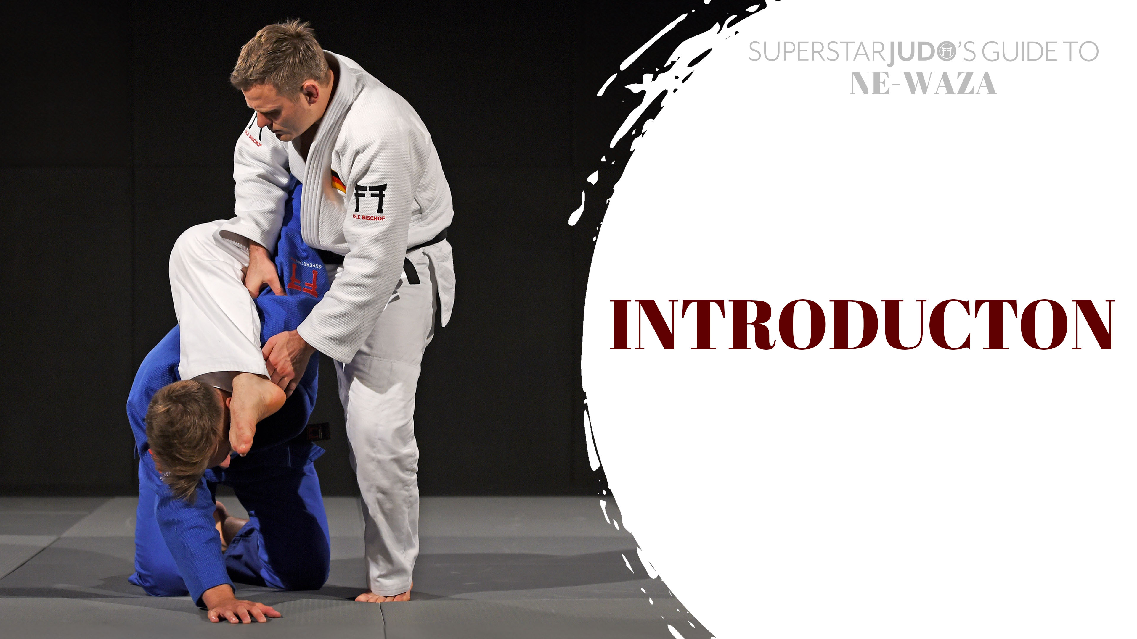 Guide to Ne-waza - Introduction