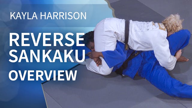 Overview | Reverse Sankaku | Kayla Ha...