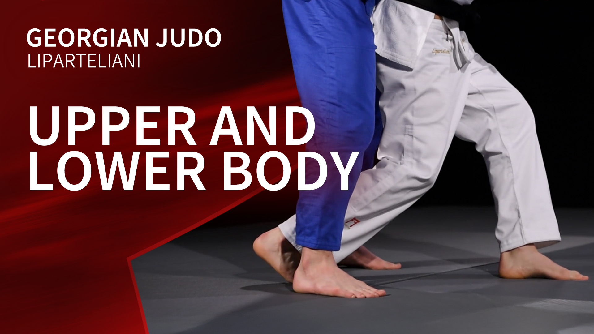 Upper and Lower Body | Liparteliani