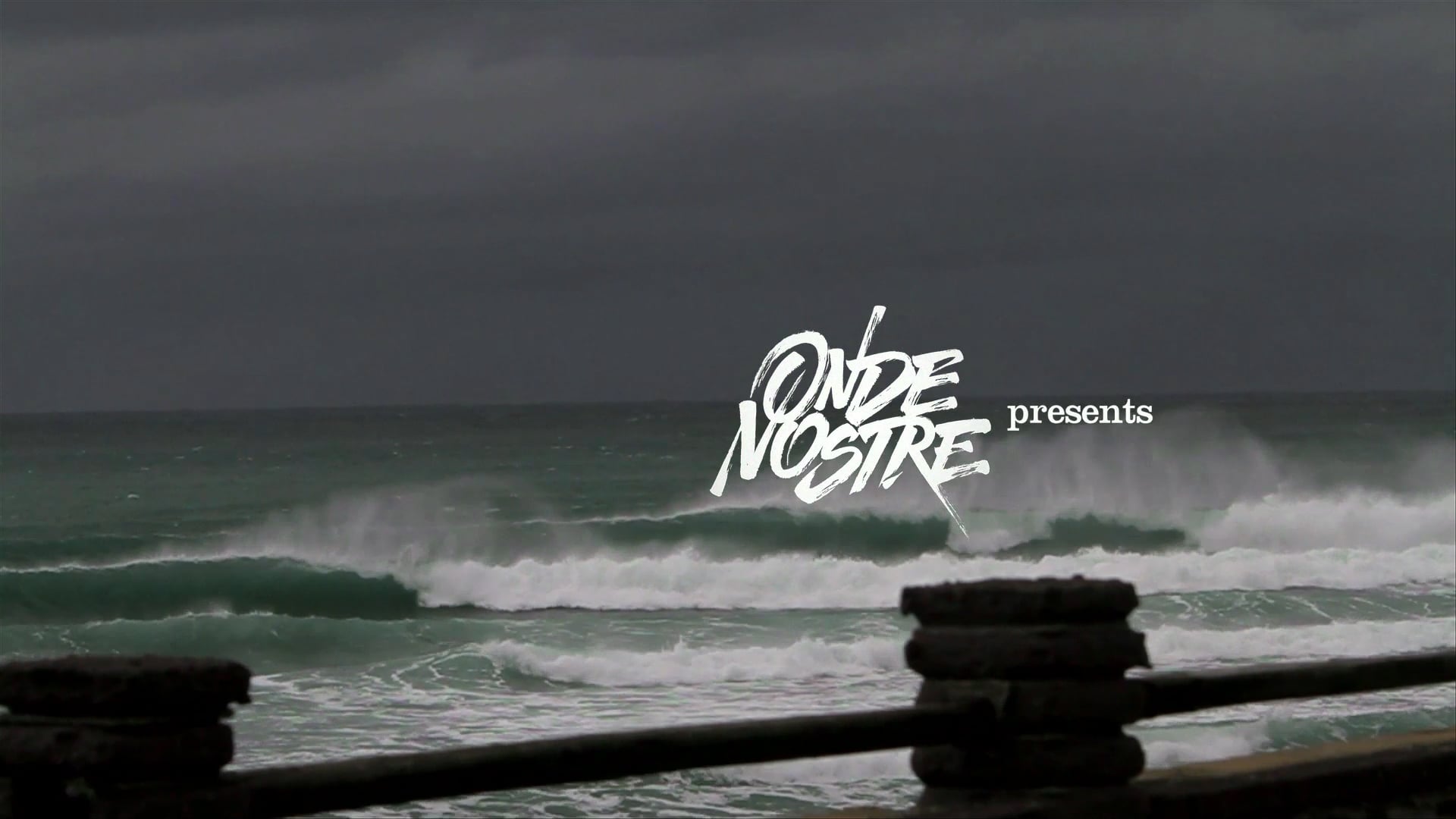 Ritratti di Surf
