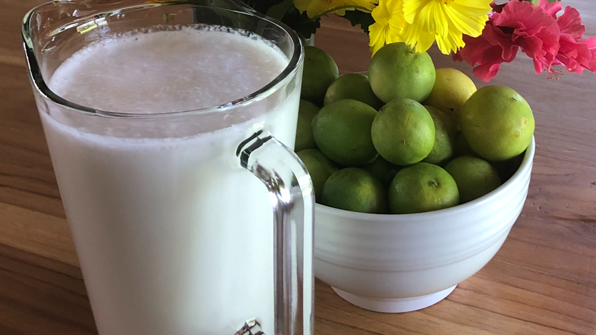 Homemade Coconut Milk