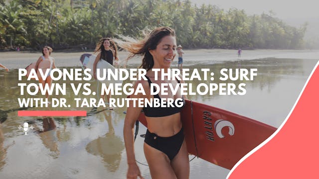 Pavones Under Threat: Surf Town vs. M...