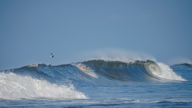 How To Avoid The Nosedive