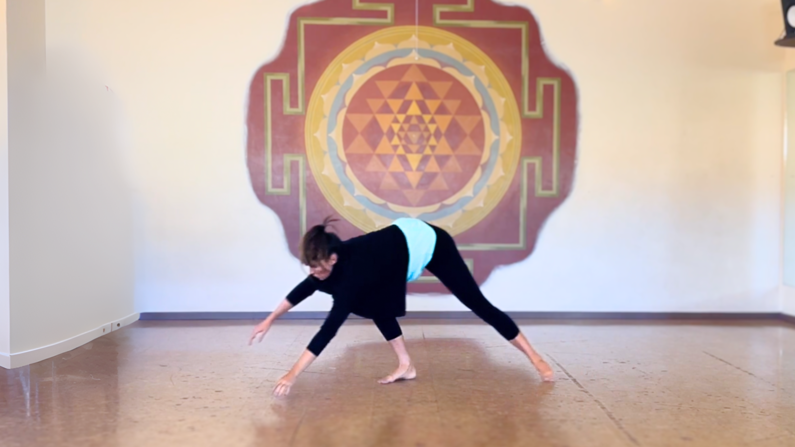 Animal Flow (10 min)