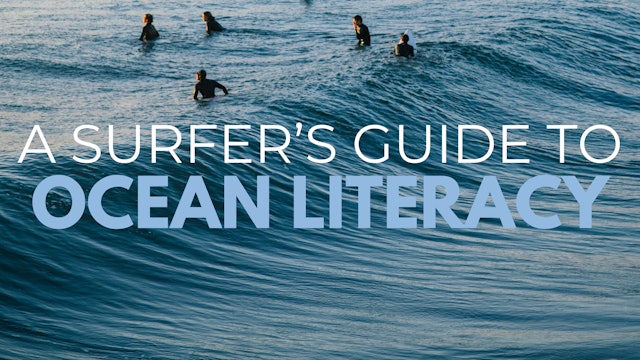 A Surfer's Guide To Ocean Literacy