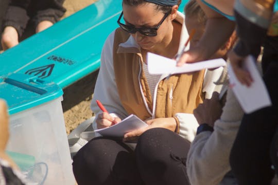 Using a Surf Journal