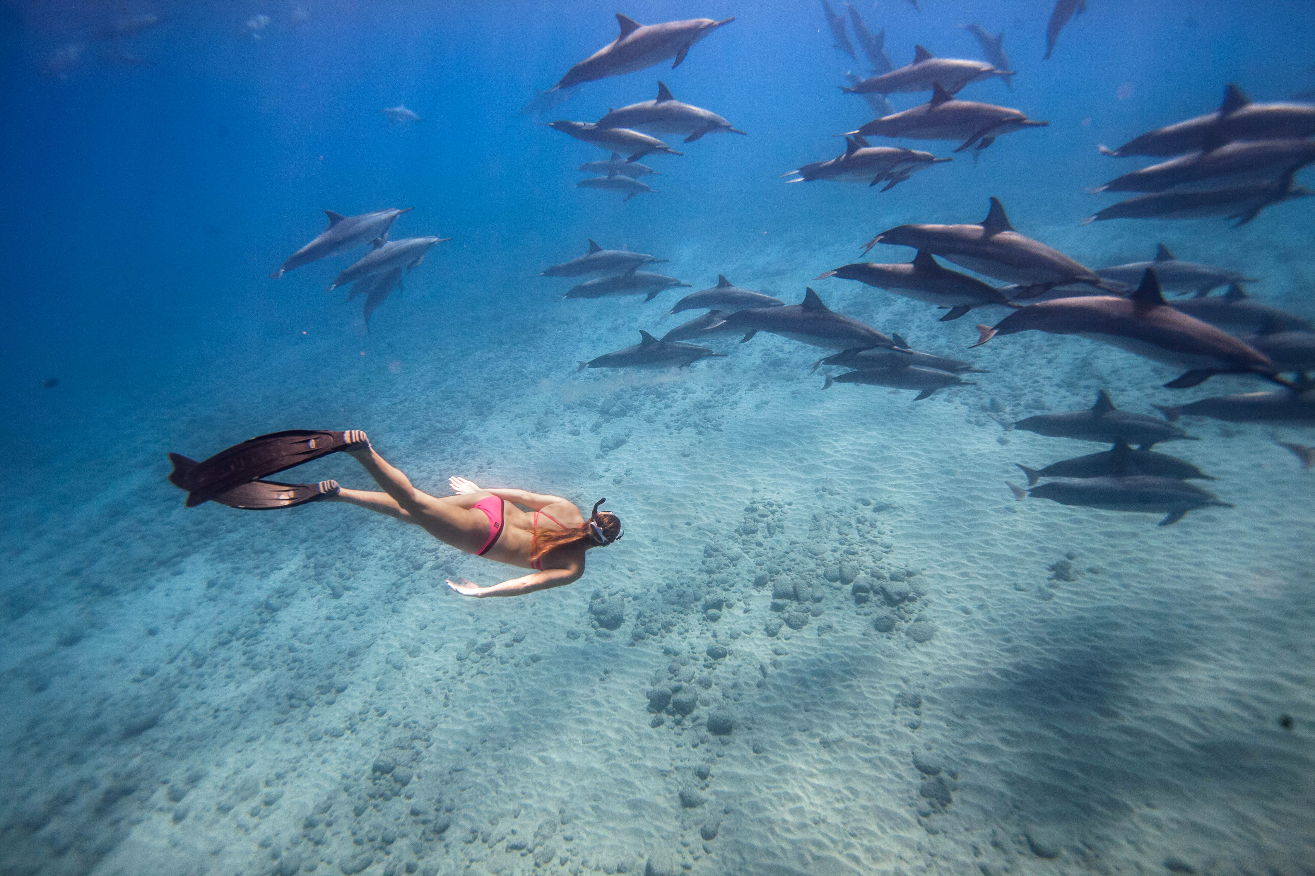 All About Breath Holds