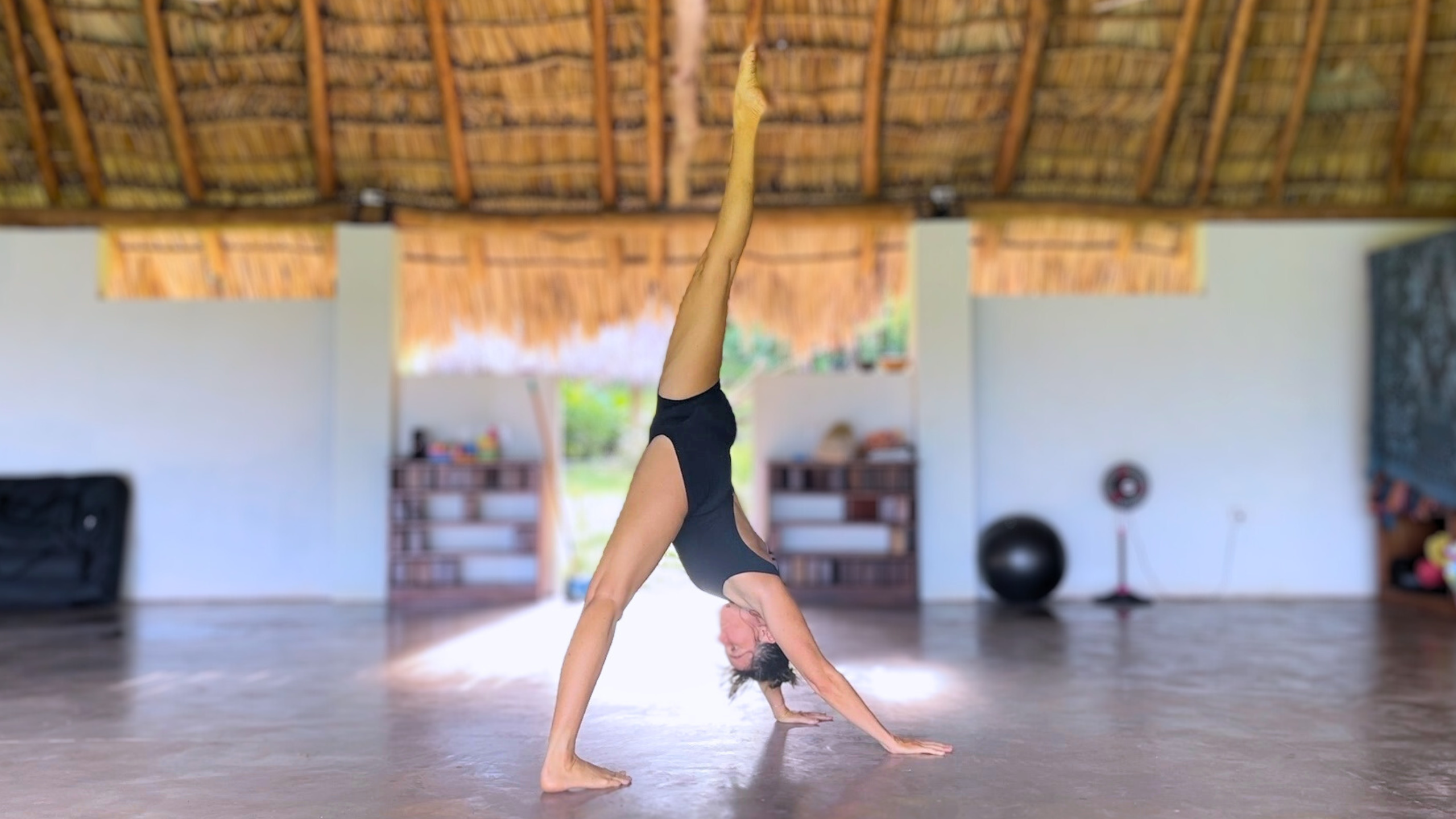 Animal Flow (20 min)