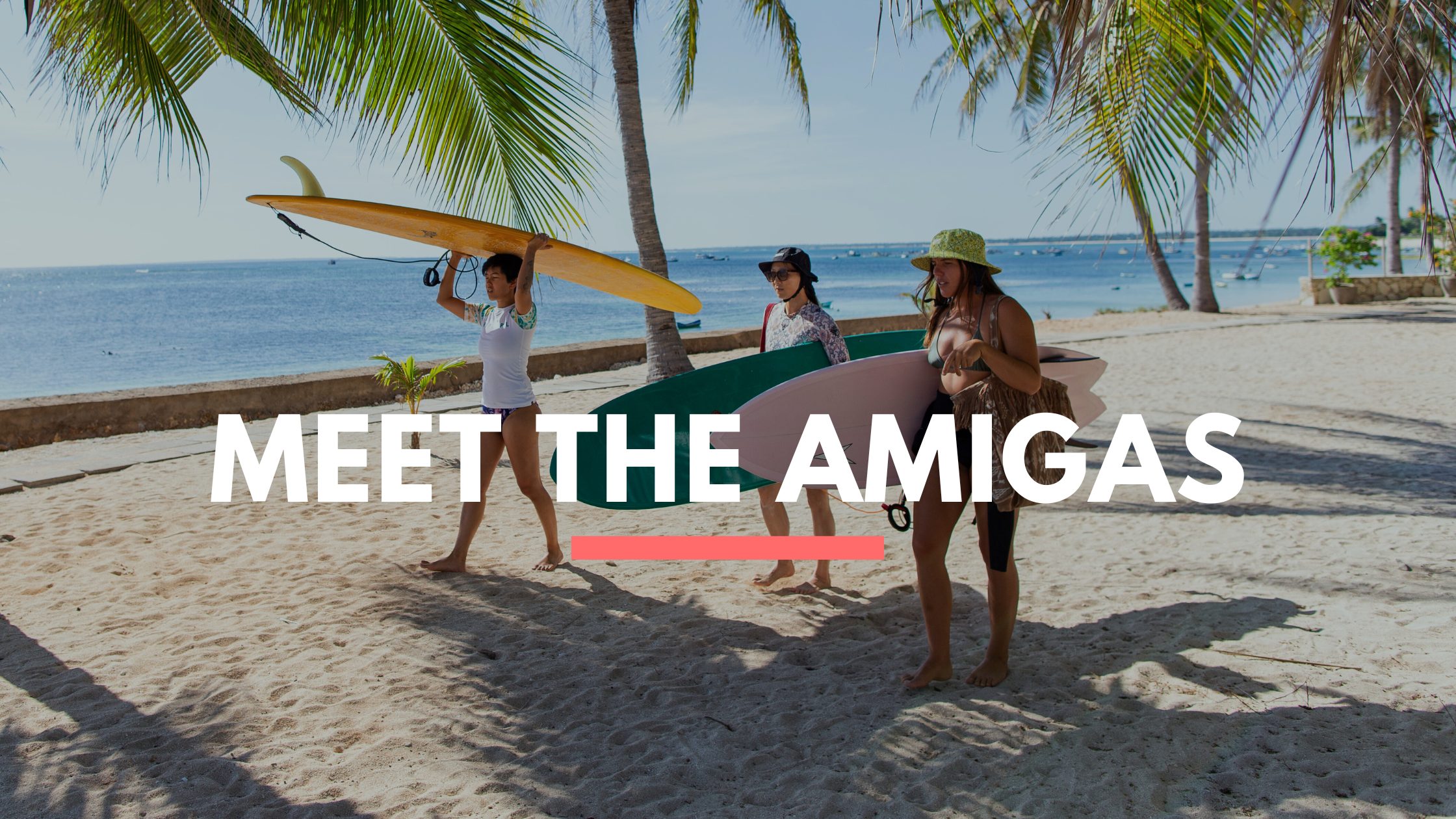 Meet the Amigas