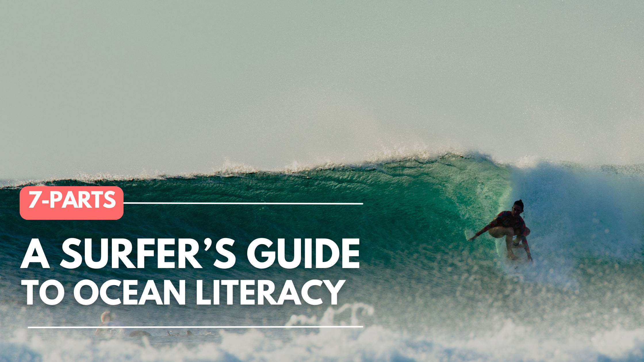A Surfer's Guide To Ocean Literacy