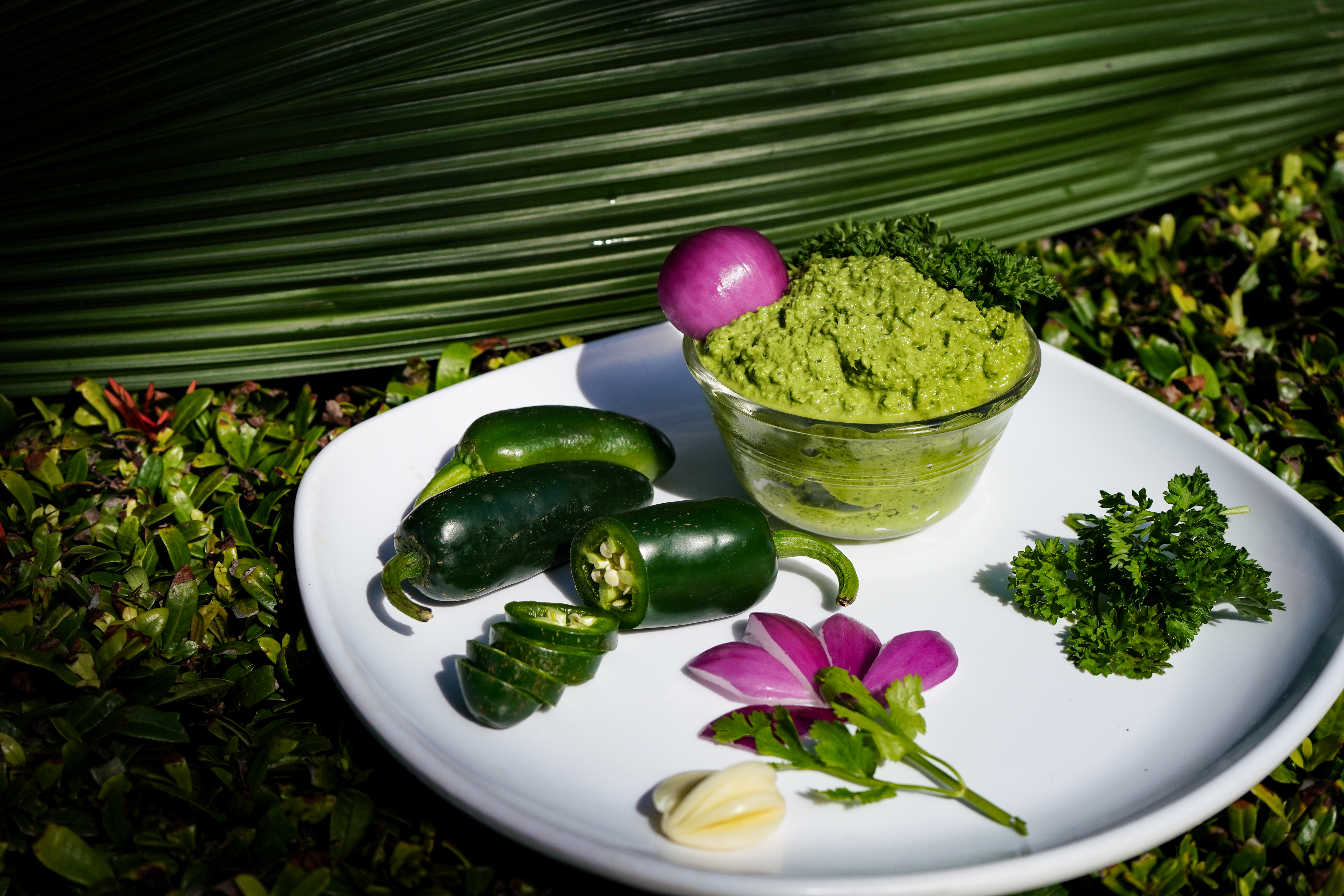 Longboard House Green Salsa