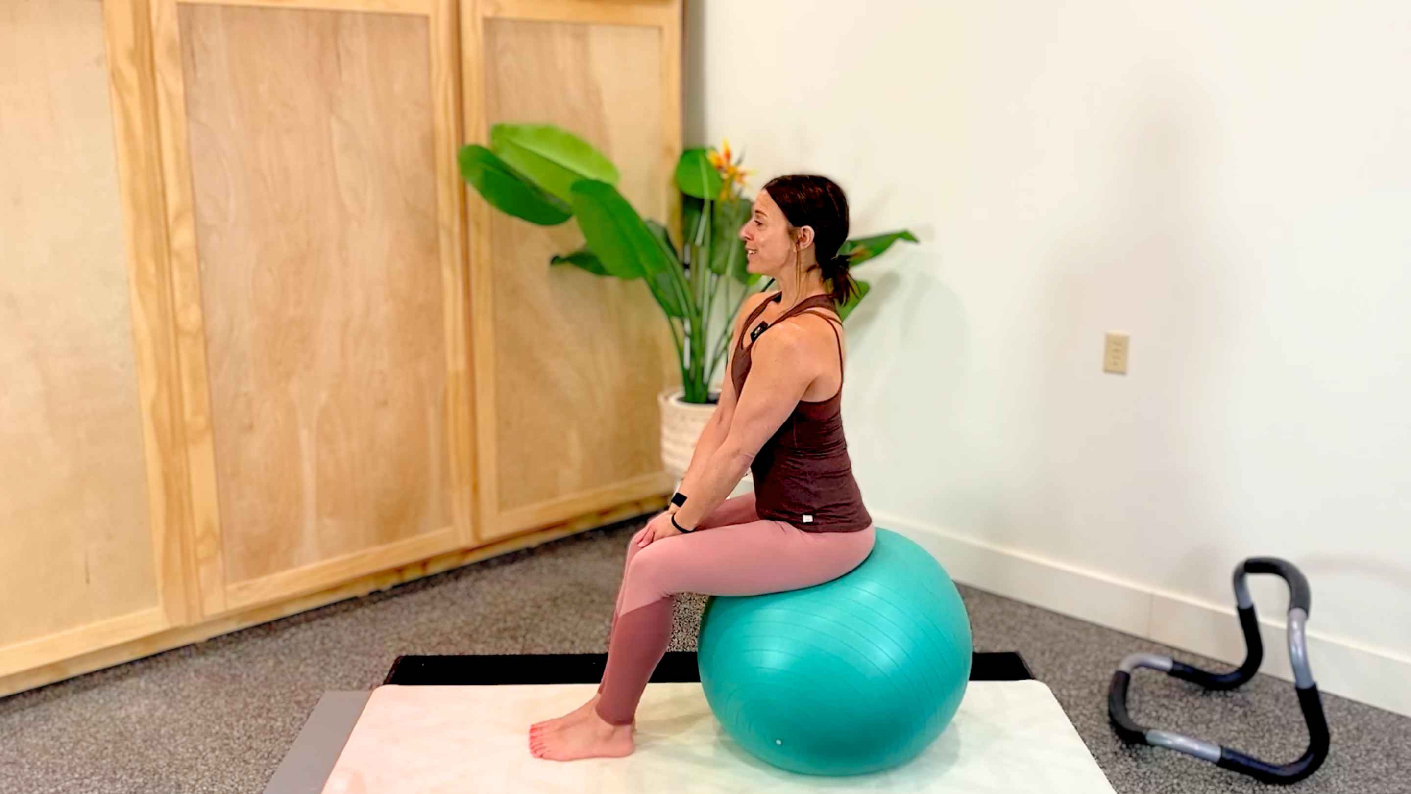 Diastasis Recti Repair Class (17 min)