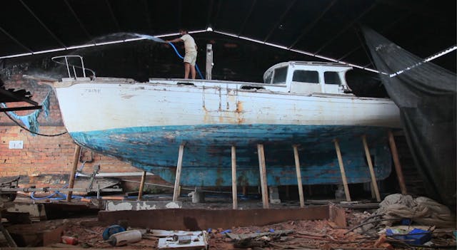 The Wood, The Whale and The Sane