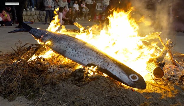 Enterrament de la Sardina de Pòrtol (...