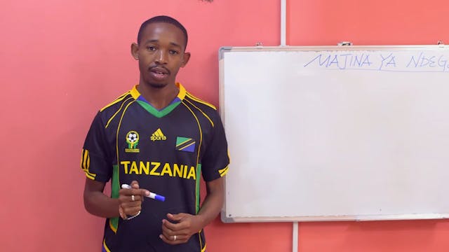 MAJINA YA NDEGE