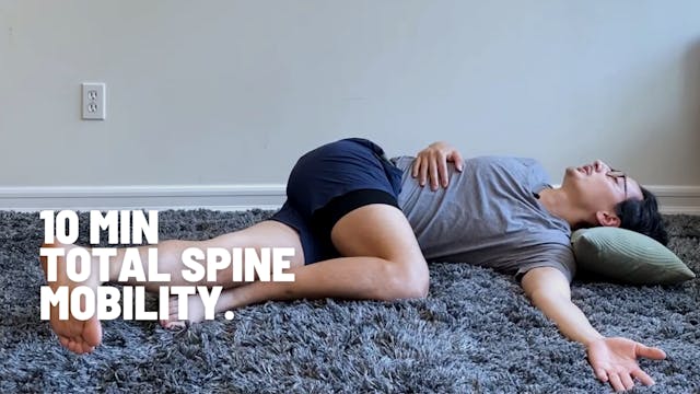 10m SPINE MOBILITY 01