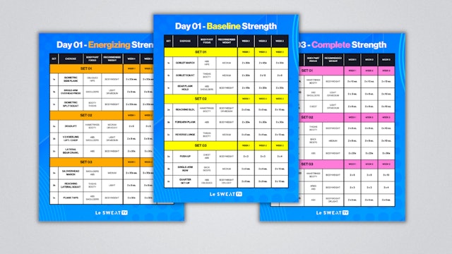21-DAY GYM GUIDE (STRONGER LEVEL 1)
