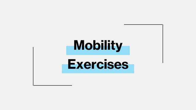 MOBILITY EXERCISES