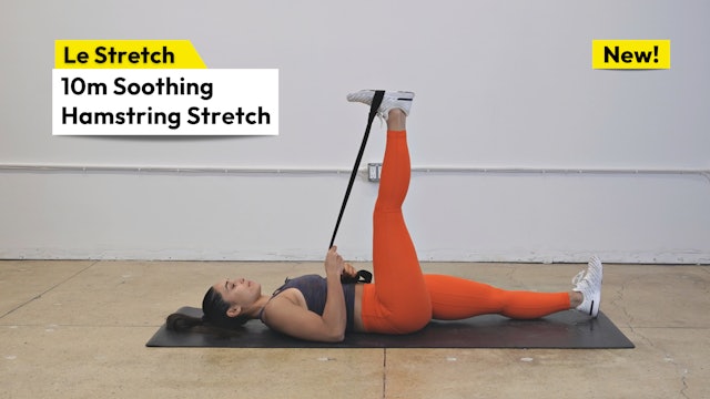 10m Soothing Hamstring Stretch