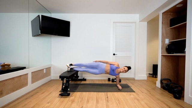 FEET-ELEVATED SIDE PLANK [EXERCISE]