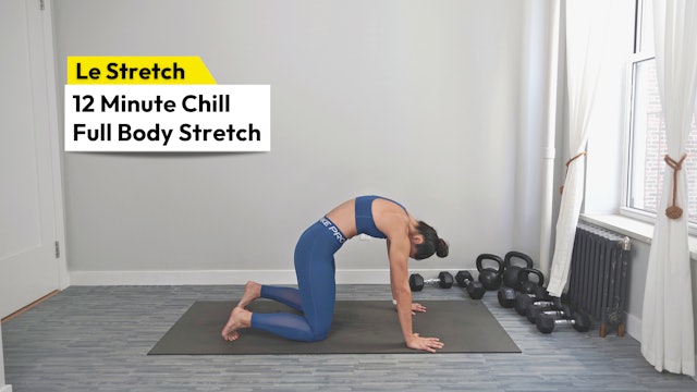 12m Chill Full Body Stretch