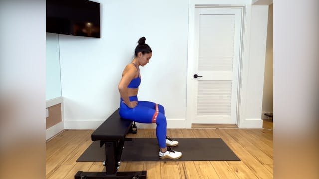 SEATED ABDUCTION W/ BANDS [EXERCISE]