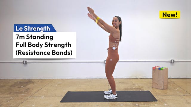 7m Standing Full Body Strength (Bands)