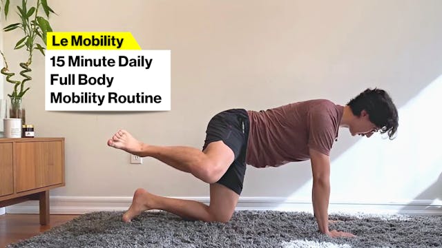15m DAILY FULL BODY MOBILITY ROUTINE