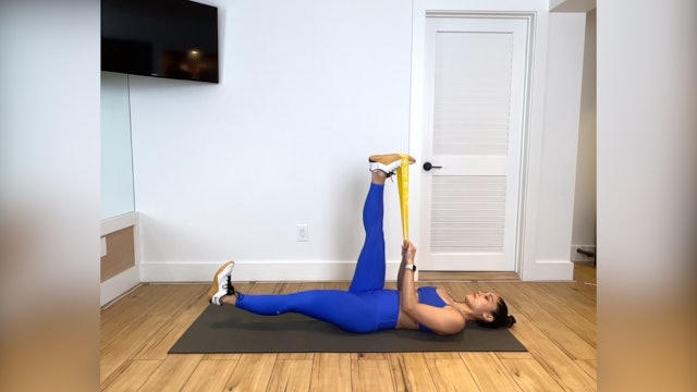 LEG LOWERS W/ BANDS [EXERCISE]