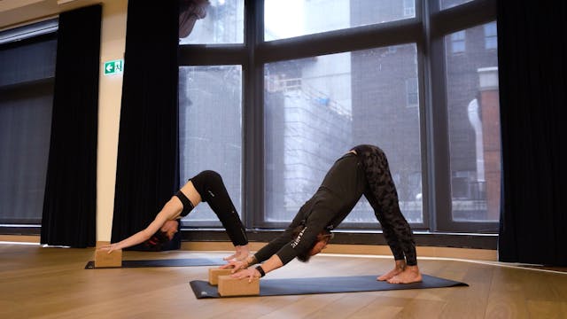 Morning Stretch Flow Yoga with Sheldon