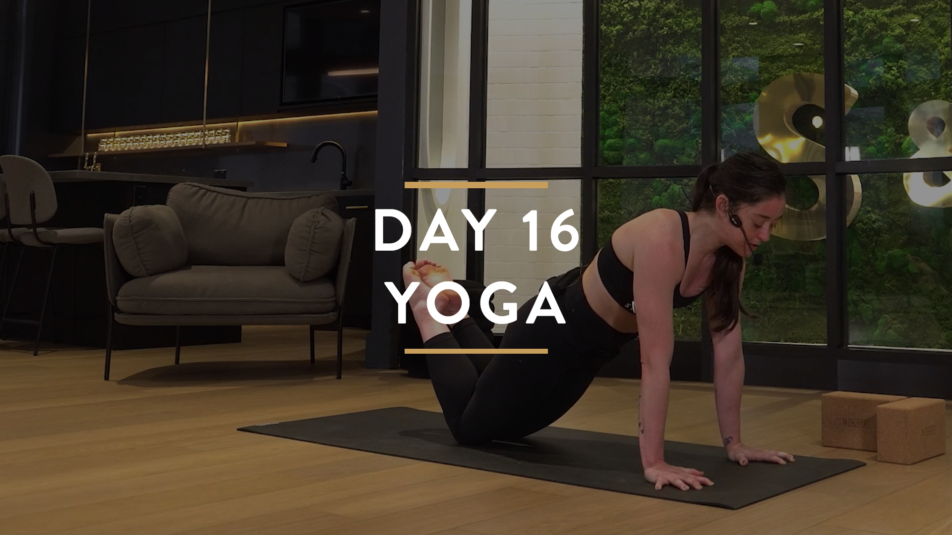 Day 16 - Intro to Yoga with Angela- Part 2 - Foundational Poses
