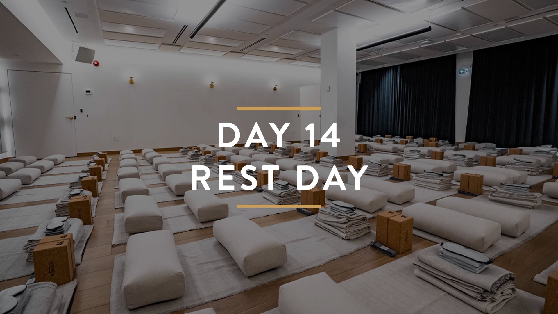 Day 14: Rest Day