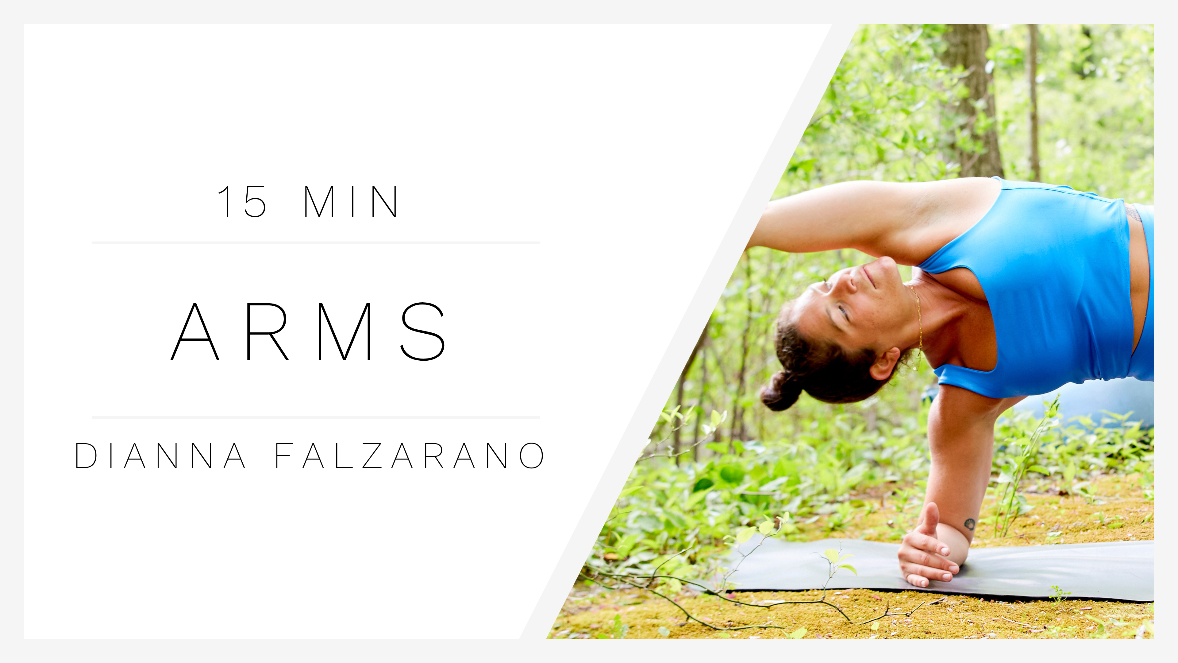 15 Min Arms 1 | Dianna Falzarano 