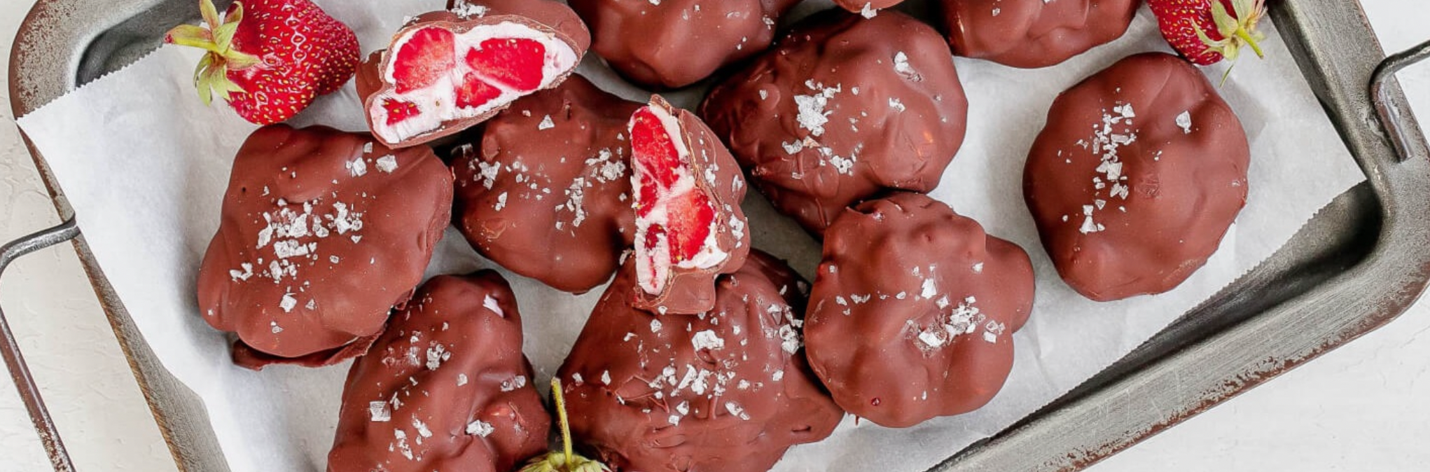 Chocolate Strawberry Yogurt Bites
