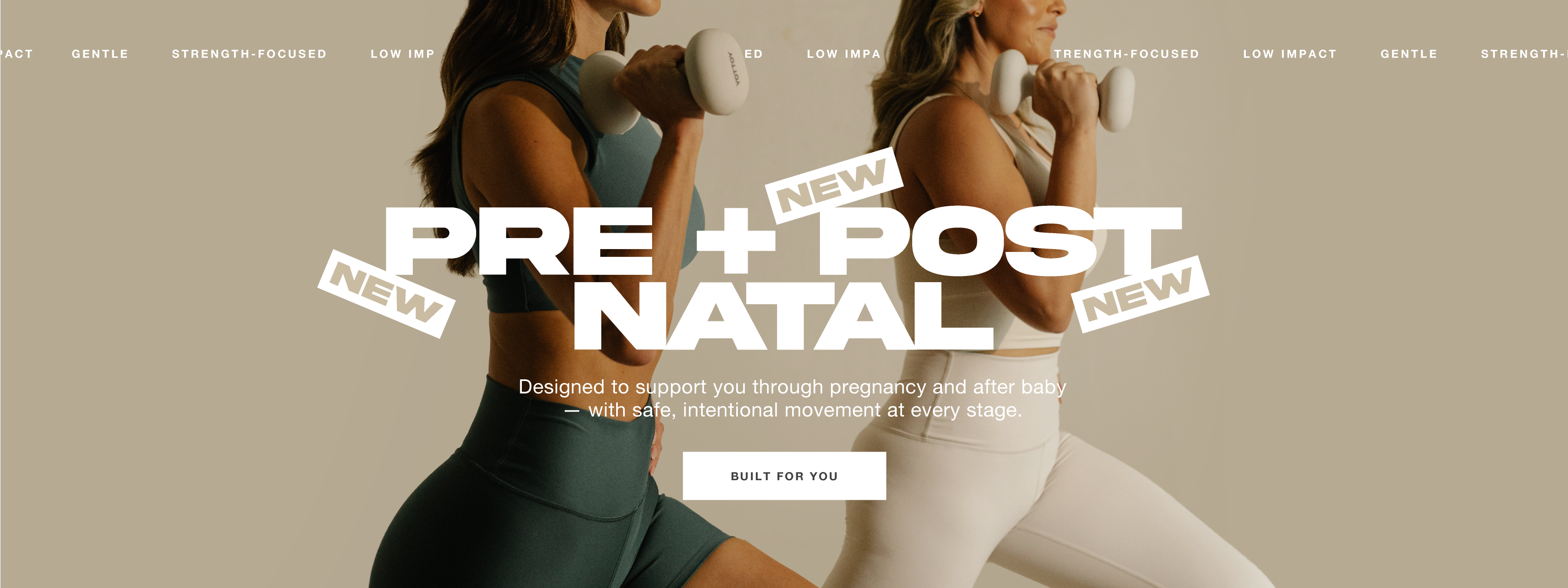 Pre/Postnatal Series *NEW*