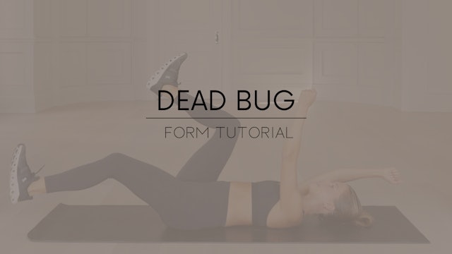 Dead Bug Form Tutorial