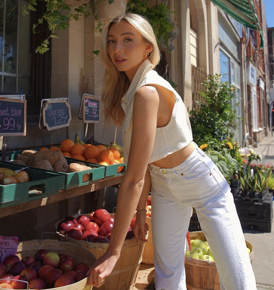 shaep Grocery Guide