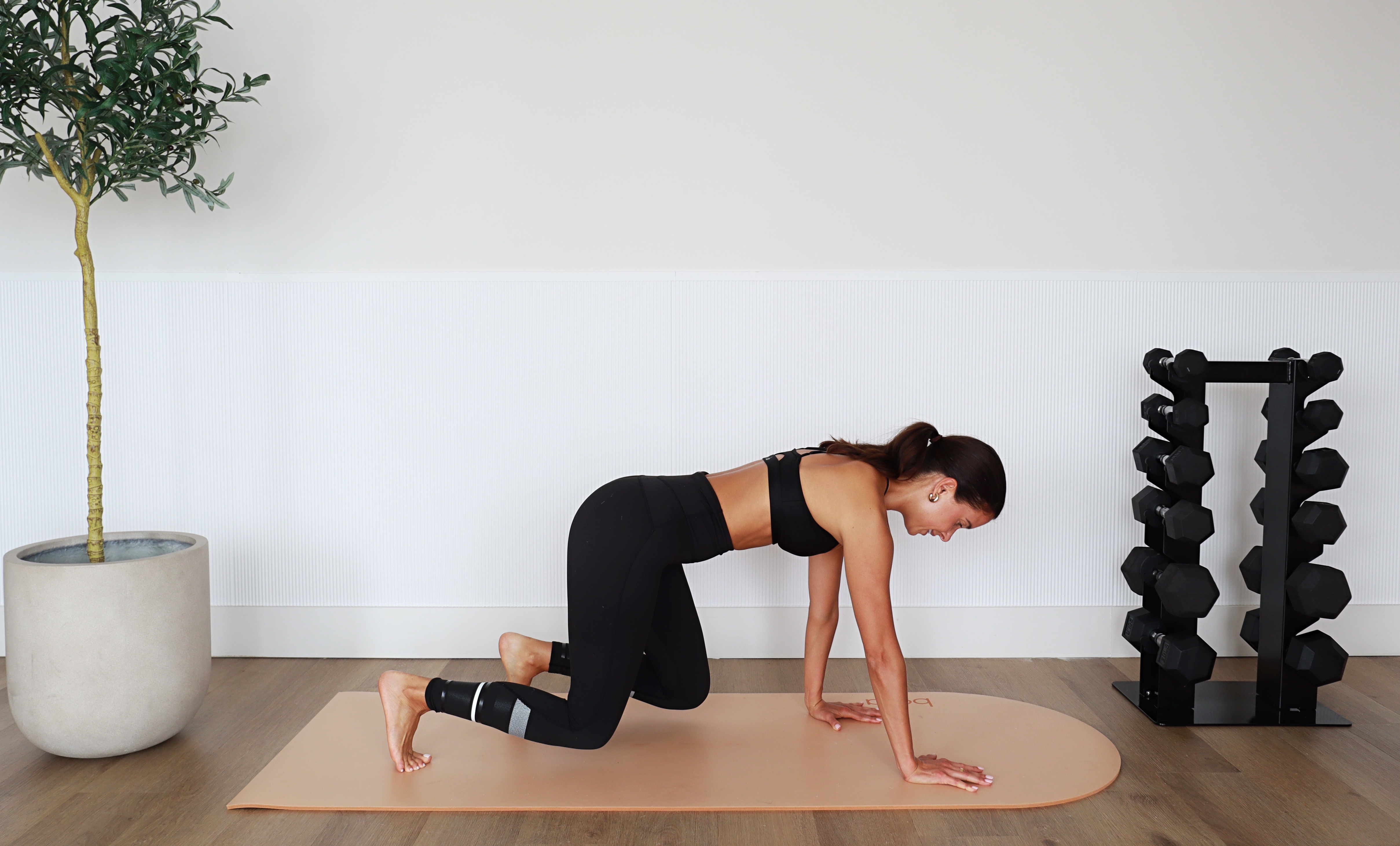 17 Min Full Body HIIT