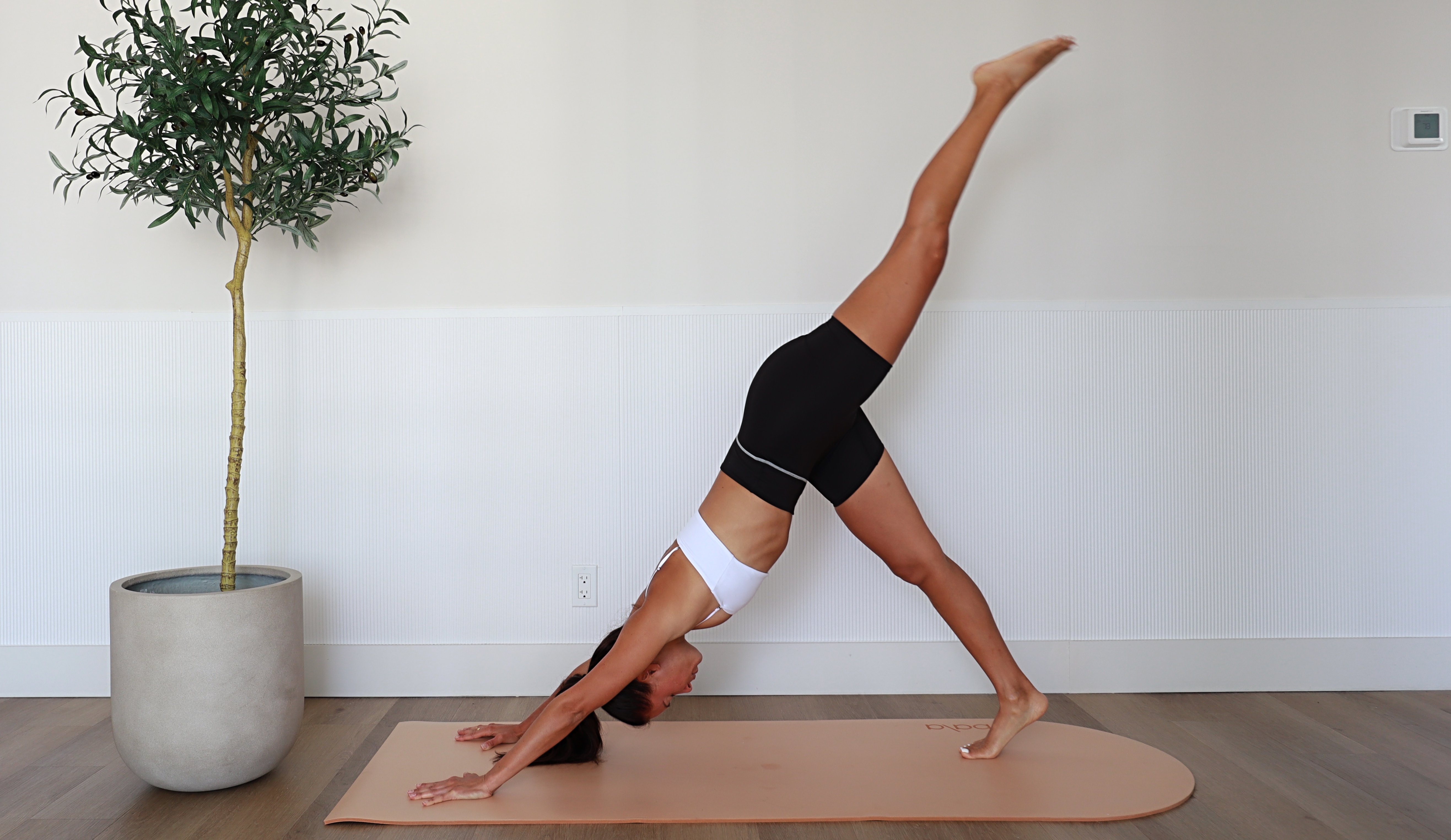 11/7 - Full Body Live Workout