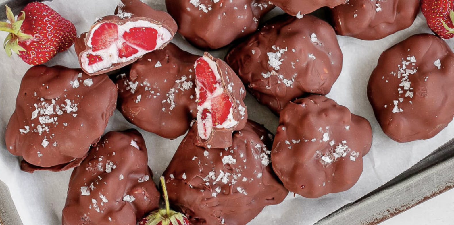 Chocolate Strawberry Yogurt Bites