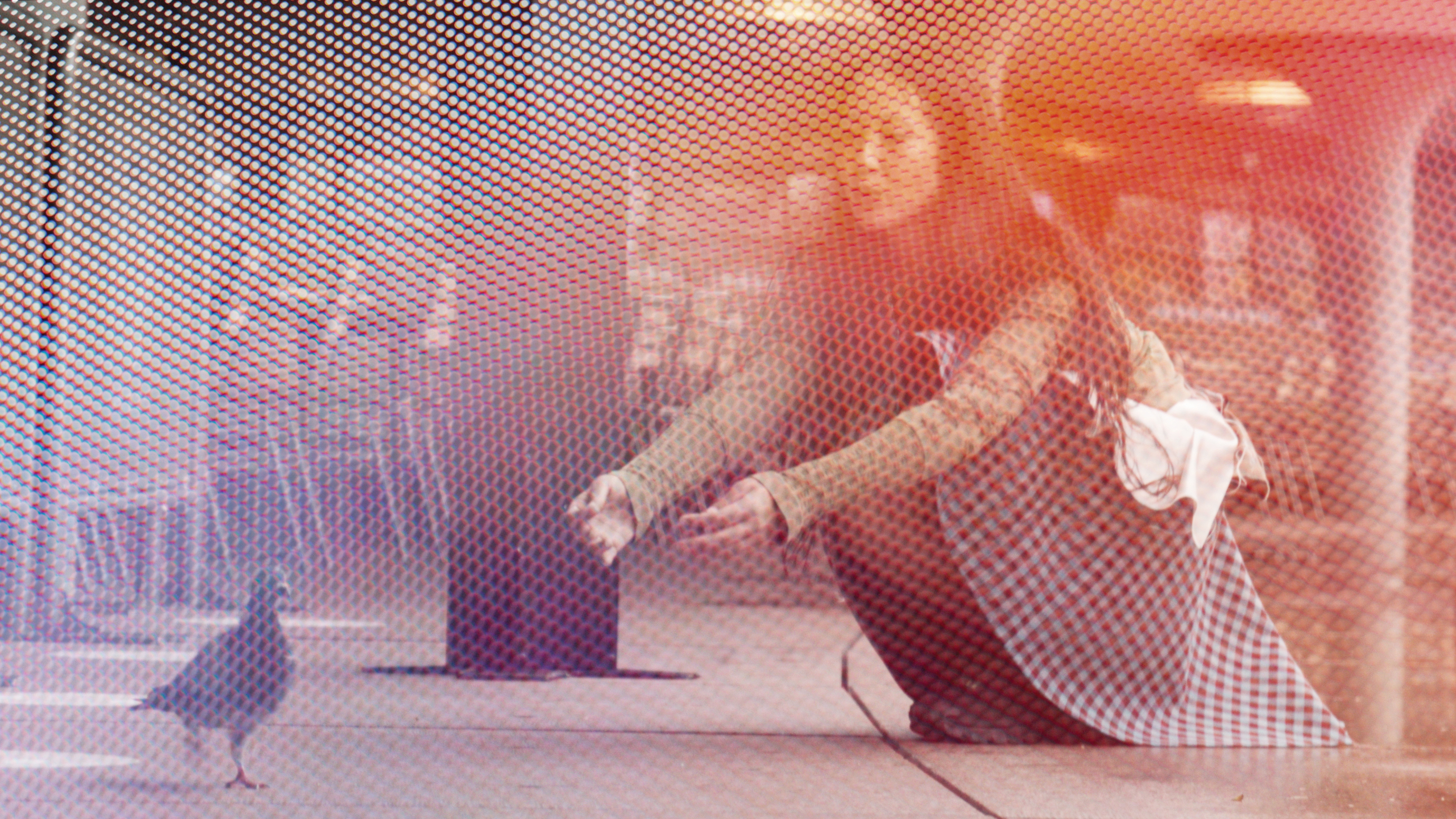 Shortwave: Eugene Choi - A Burning House (2021)