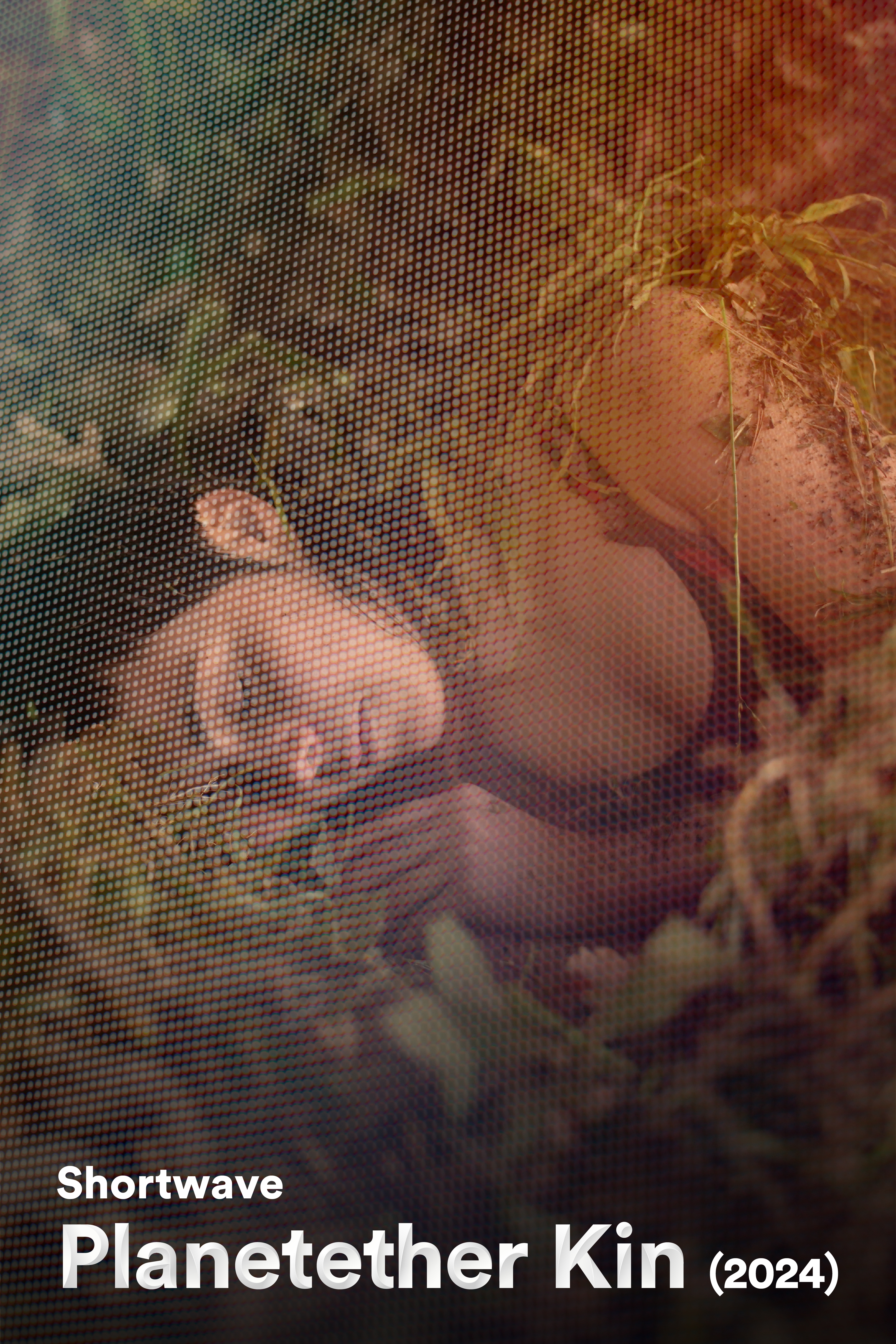 Shortwave: Em Yali - Planetether Kin (2024)