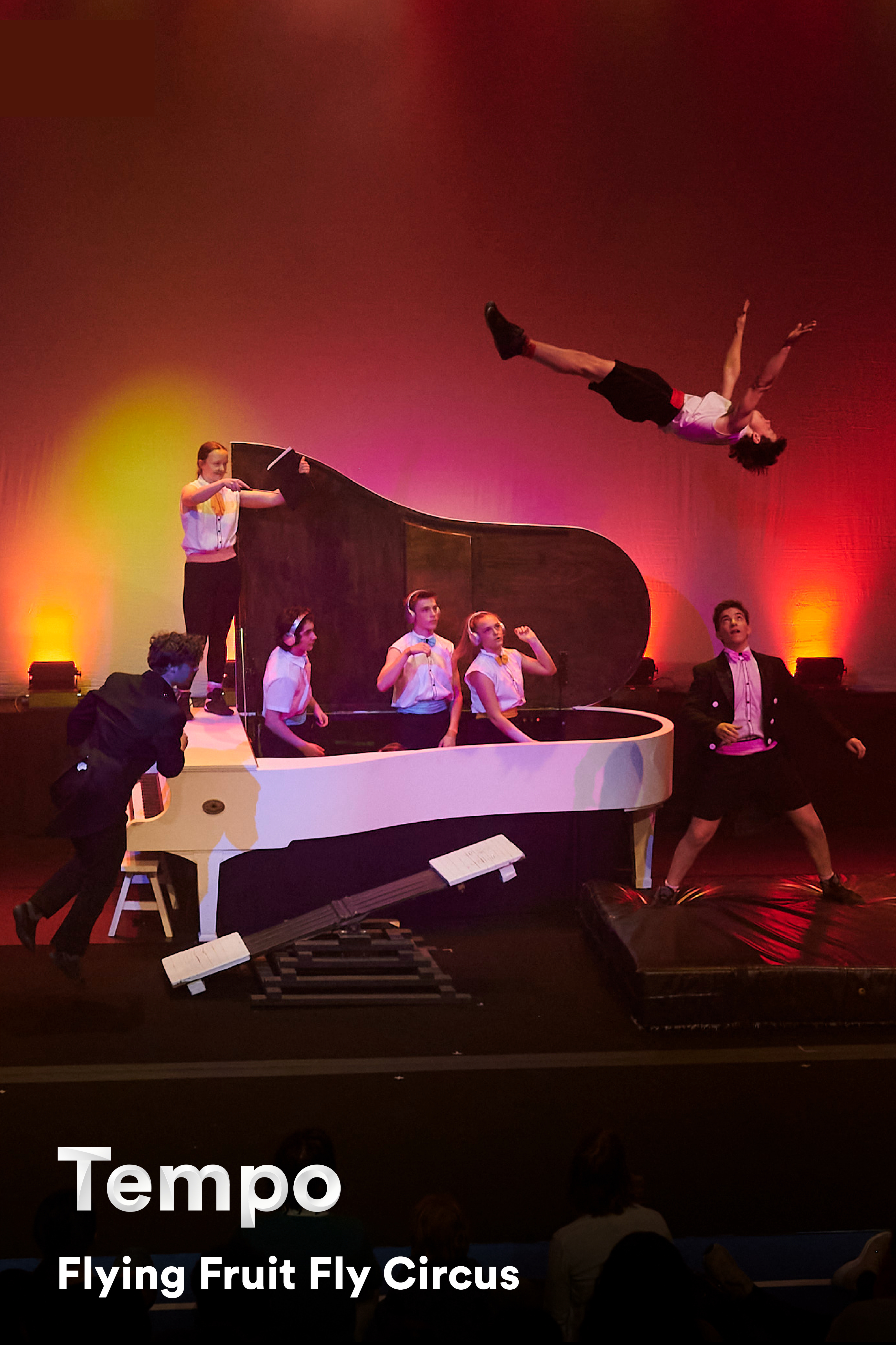 Tempo - Flying Fruit Fly Circus (2023)