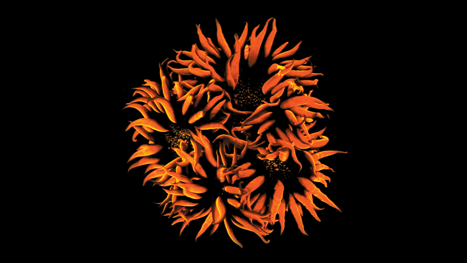 On Creativity: Pasi Sahlberg, Lynette Wallworth & Jessie Tu