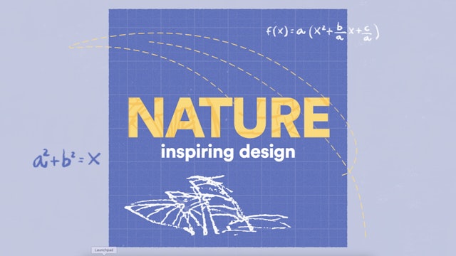 Maths of the House: Nature Inspiring Design | Age 11+