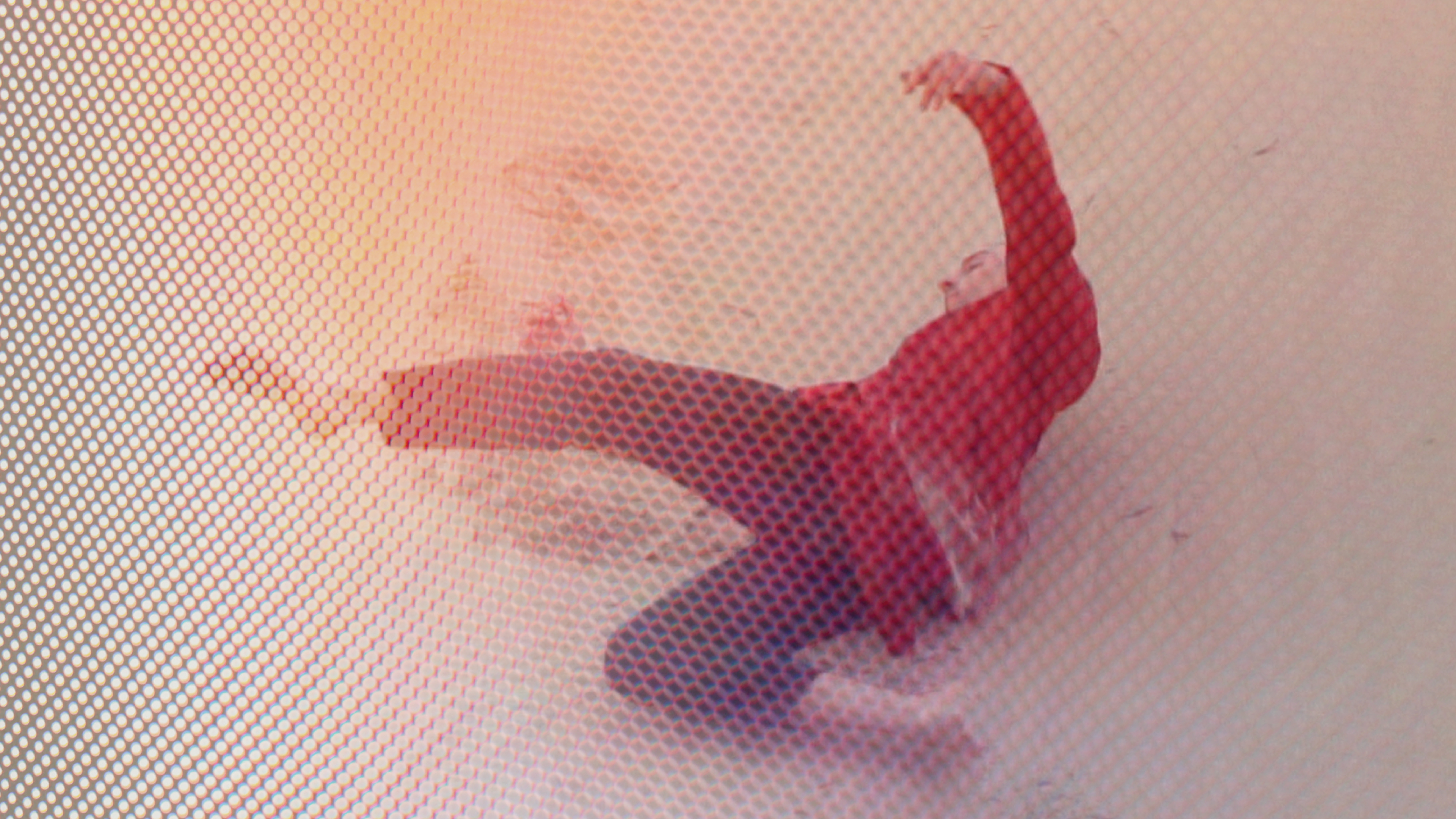 Shortwave: Nasim Patel - non-paradise (2023)